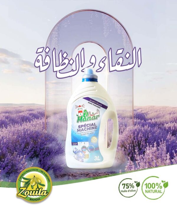 LESSIVE SPECIAL MACHINE FLORY SOFT 3L