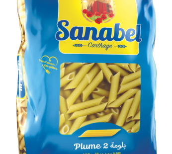 5+1 Gratuit Plume 2 / 500 G