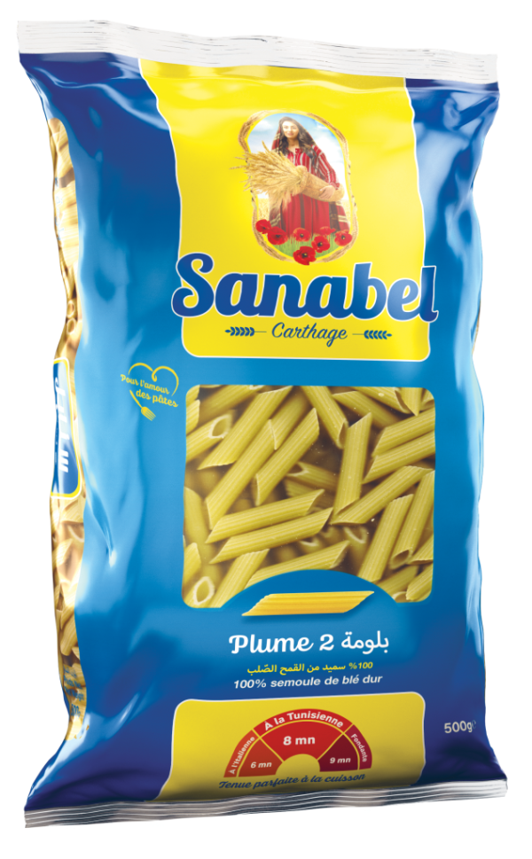5+1 Gratuit Plume 2 / 500 G