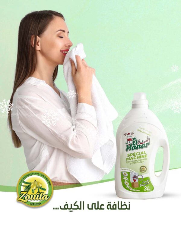 LESSIVE SPECIAL MACHINE FRESH POWER 3L