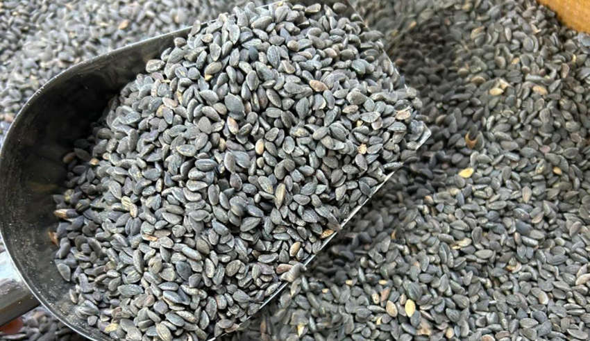 Zgougou en Graines 500 G