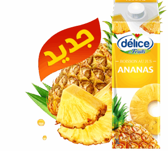 Jus délice au jus Ananas stérilisée UHT 1L