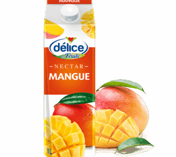 Jus délice au jus Nectar mangue 1L