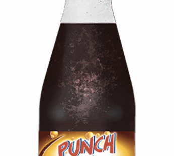 Pack 12 Punch Cidre 0.3 L