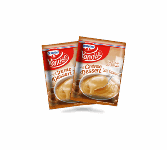 VANOISE Crème Dessert goût Caramel