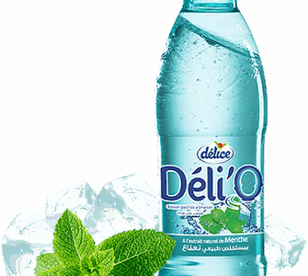 PACK DE 12 Déli’o Menthe 25OML