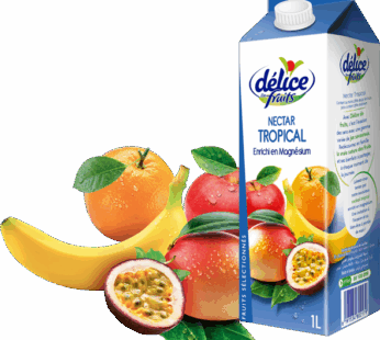 Jus délice au jus Nectar Tropical 1L