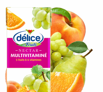 PACK DE 6 jus délice Nectar Multivitaminé 20 CL