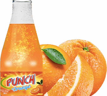 Pack 12 Punch Orange 0.3 L