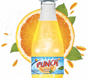 Pack 12 Punch Pulpe Orange 0.3 L